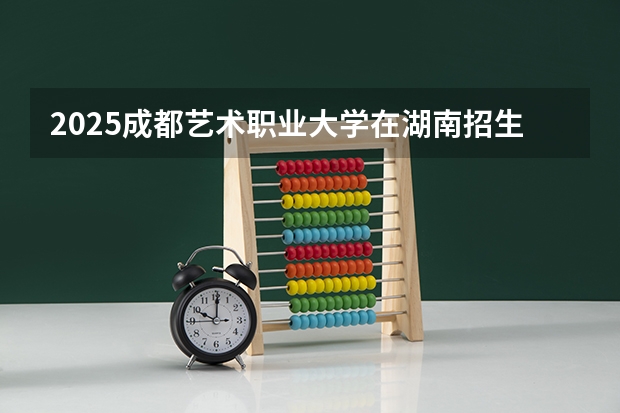 2025成都艺术职业大学在湖南招生计划人数