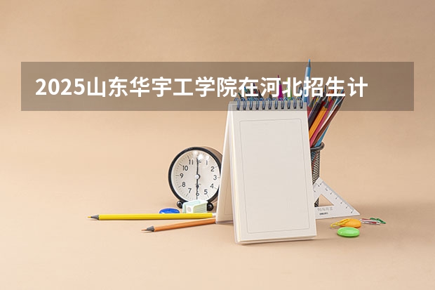 2025山东华宇工学院在河北招生计划人数