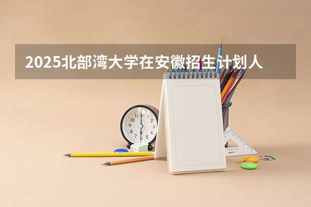 2025北部湾大学在安徽招生计划人数