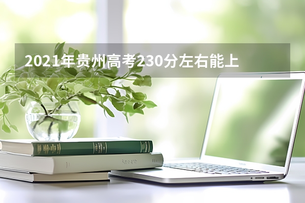 2021年贵州高考230分左右能上什么样的大学