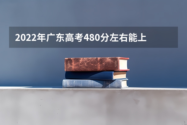 2022年广东高考480分左右能上什么样的大学